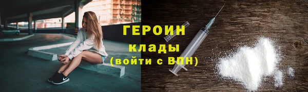 гашик Ельня