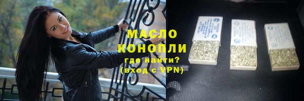 гашик Ельня