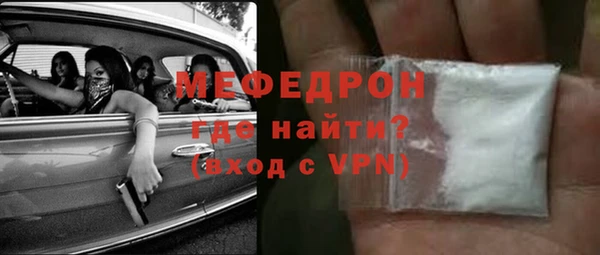 гашик Ельня