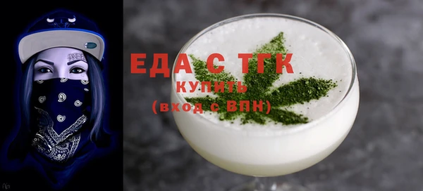 гашик Ельня