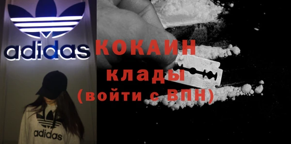 гашик Ельня