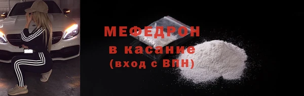 гашик Ельня