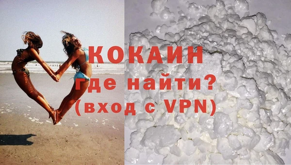 гашик Ельня