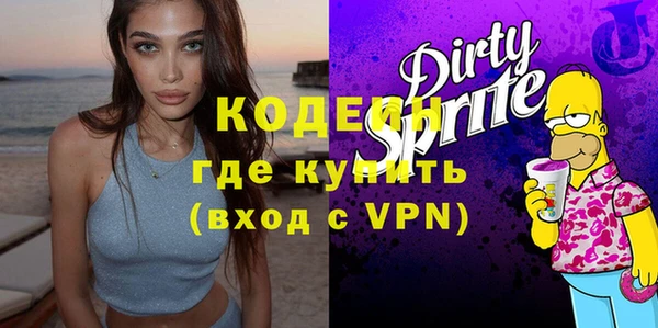 гашик Ельня