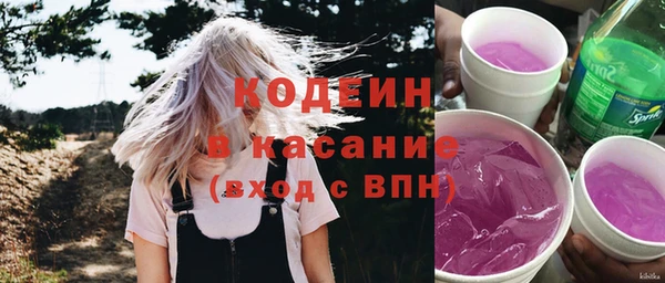 гашик Ельня