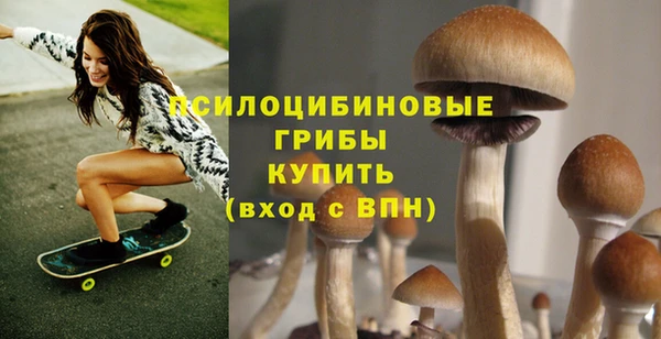 гашик Ельня
