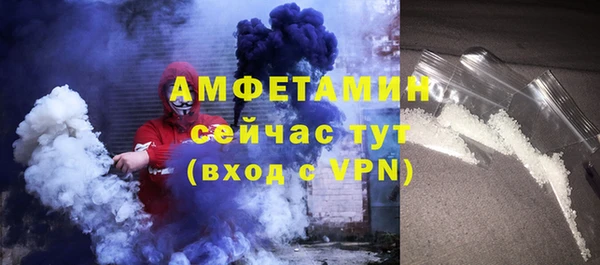 гашик Ельня