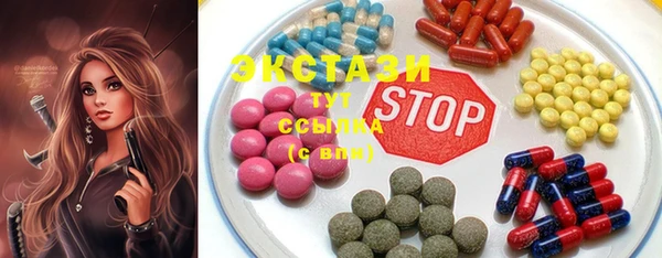 гашик Ельня