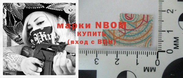 гашик Ельня
