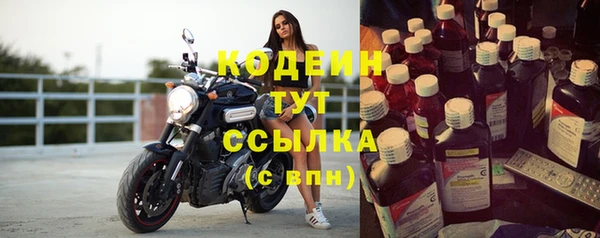 гашик Ельня